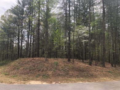 Large corner lot located in the Vineyard Park Section of The on The Cliffs At Keowee Vineyards Golf Club in South Carolina - for sale on GolfHomes.com, golf home, golf lot