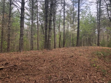 Large corner lot located in the Vineyard Park Section of The on The Cliffs At Keowee Vineyards Golf Club in South Carolina - for sale on GolfHomes.com, golf home, golf lot