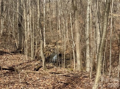 Discover the perfect blend of luxury and nature with this on Brights Creek Golf Course in North Carolina - for sale on GolfHomes.com, golf home, golf lot