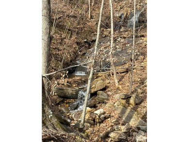 Discover the perfect blend of luxury and nature with this on Brights Creek Golf Course in North Carolina - for sale on GolfHomes.com, golf home, golf lot