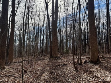 Discover the perfect blend of luxury and nature with this on Brights Creek Golf Course in North Carolina - for sale on GolfHomes.com, golf home, golf lot