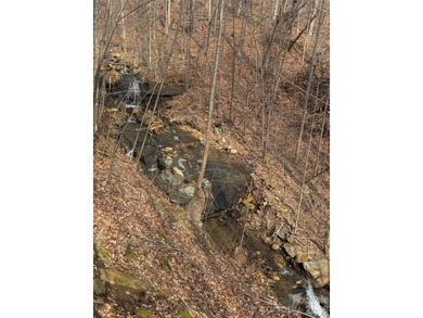 Discover the perfect blend of luxury and nature with this on Brights Creek Golf Course in North Carolina - for sale on GolfHomes.com, golf home, golf lot