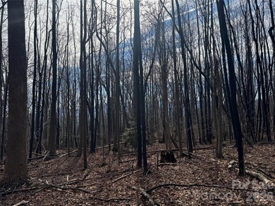 Discover the perfect blend of luxury and nature with this on Brights Creek Golf Course in North Carolina - for sale on GolfHomes.com, golf home, golf lot