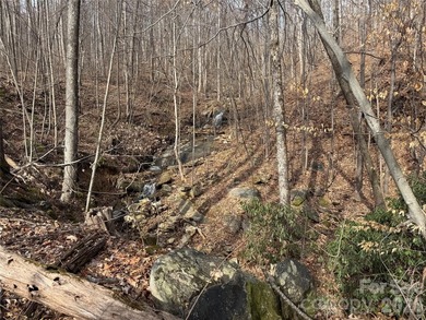 Discover the perfect blend of luxury and nature with this on Brights Creek Golf Course in North Carolina - for sale on GolfHomes.com, golf home, golf lot