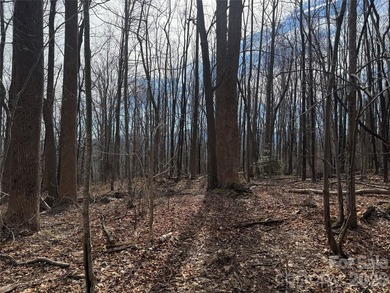 Discover the perfect blend of luxury and nature with this on Brights Creek Golf Course in North Carolina - for sale on GolfHomes.com, golf home, golf lot