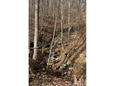 Discover the perfect blend of luxury and nature with this on Brights Creek Golf Course in North Carolina - for sale on GolfHomes.com, golf home, golf lot