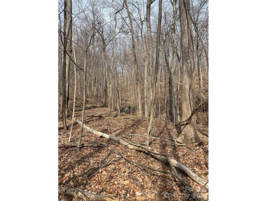 Discover the perfect blend of luxury and nature with this on Brights Creek Golf Course in North Carolina - for sale on GolfHomes.com, golf home, golf lot