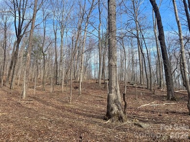 Discover the perfect blend of luxury and nature with this 2 on Brights Creek Golf Course in North Carolina - for sale on GolfHomes.com, golf home, golf lot