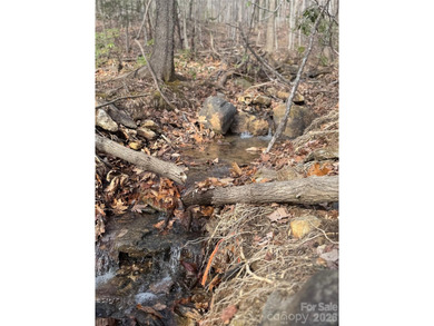 Discover the perfect blend of luxury and nature with this 2 on Brights Creek Golf Course in North Carolina - for sale on GolfHomes.com, golf home, golf lot