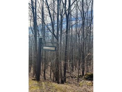 Discover the perfect blend of luxury and nature with this 2 on Brights Creek Golf Course in North Carolina - for sale on GolfHomes.com, golf home, golf lot