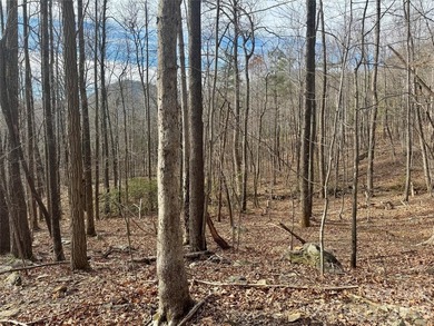 Discover the perfect blend of luxury and nature with this 2 on Brights Creek Golf Course in North Carolina - for sale on GolfHomes.com, golf home, golf lot