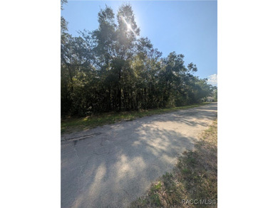 Build your Florida dream home on this beautiful .32-acre on Citrus Springs Country Club in Florida - for sale on GolfHomes.com, golf home, golf lot