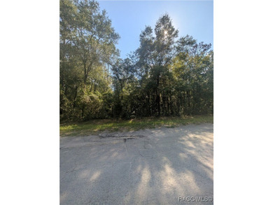 Build your Florida dream home on this beautiful .32-acre on Citrus Springs Country Club in Florida - for sale on GolfHomes.com, golf home, golf lot