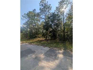 Build your Florida dream home on this beautiful .32-acre on Citrus Springs Country Club in Florida - for sale on GolfHomes.com, golf home, golf lot