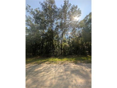 Build your Florida dream home on this beautiful .32-acre on Citrus Springs Country Club in Florida - for sale on GolfHomes.com, golf home, golf lot