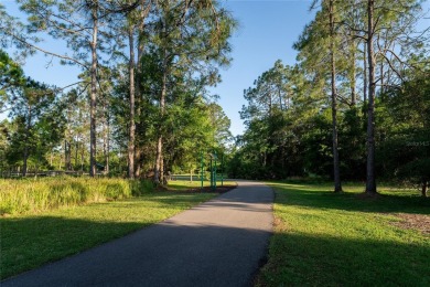 Discover a remarkable 4-bedroom, 3-bathroom pool home in the on Hunters Green Country Club in Florida - for sale on GolfHomes.com, golf home, golf lot