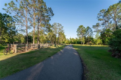 Discover a remarkable 4-bedroom, 3-bathroom pool home in the on Hunters Green Country Club in Florida - for sale on GolfHomes.com, golf home, golf lot