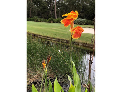 Welcome to 10626 Restoration Terrace, a beautiful 3-bedroom on Waterlefe Golf and River Club in Florida - for sale on GolfHomes.com, golf home, golf lot