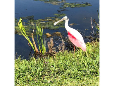 Welcome to 10626 Restoration Terrace, a beautiful 3-bedroom on Waterlefe Golf and River Club in Florida - for sale on GolfHomes.com, golf home, golf lot