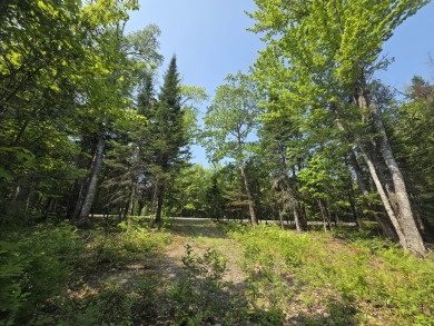 Excellent opportunity to choose your own lot size - current on Diadema Golf Course  in Maine - for sale on GolfHomes.com, golf home, golf lot