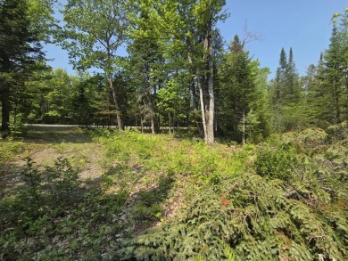 Excellent opportunity to choose your own lot size - current on Diadema Golf Course  in Maine - for sale on GolfHomes.com, golf home, golf lot