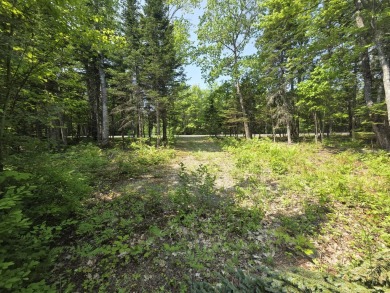 Excellent opportunity to choose your own lot size - current on Diadema Golf Course  in Maine - for sale on GolfHomes.com, golf home, golf lot