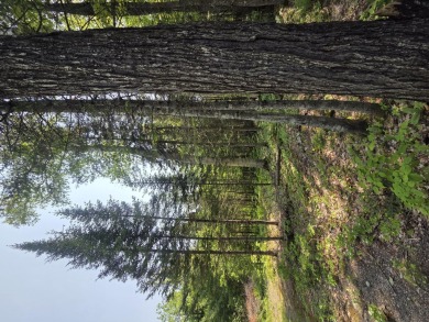 Excellent opportunity to choose your own lot size - current on Diadema Golf Course  in Maine - for sale on GolfHomes.com, golf home, golf lot