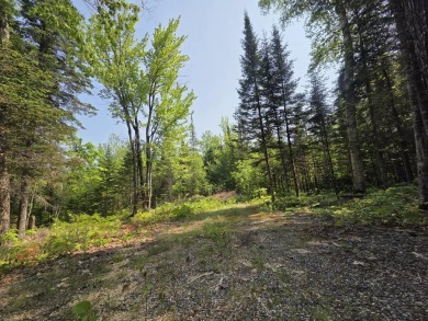 Excellent opportunity to choose your own lot size - current on Diadema Golf Course  in Maine - for sale on GolfHomes.com, golf home, golf lot
