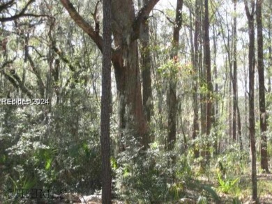 Mature magnolia and live oak trees are abundant on this .575 on Callawassie Island Club in South Carolina - for sale on GolfHomes.com, golf home, golf lot