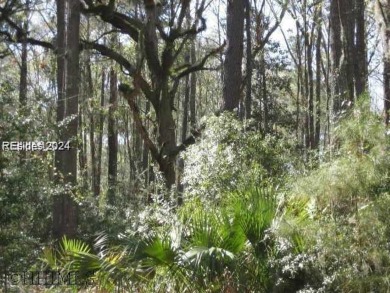 Mature magnolia and live oak trees are abundant on this .575 on Callawassie Island Club in South Carolina - for sale on GolfHomes.com, golf home, golf lot