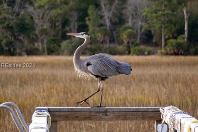 Mature magnolia and live oak trees are abundant on this .575 on Callawassie Island Club in South Carolina - for sale on GolfHomes.com, golf home, golf lot