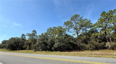 Located in the picturesque Pine Ridge equestrian community, lot on Pine Ridge Community Golf and Country Club in Florida - for sale on GolfHomes.com, golf home, golf lot