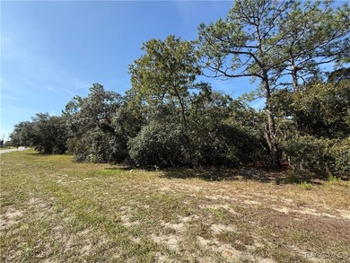 Located in the picturesque Pine Ridge equestrian community, lot on Pine Ridge Community Golf and Country Club in Florida - for sale on GolfHomes.com, golf home, golf lot