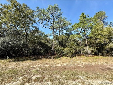 Located in the picturesque Pine Ridge equestrian community, lot on Pine Ridge Community Golf and Country Club in Florida - for sale on GolfHomes.com, golf home, golf lot