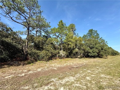Located in the picturesque Pine Ridge equestrian community, lot on Pine Ridge Community Golf and Country Club in Florida - for sale on GolfHomes.com, golf home, golf lot