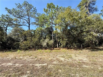 Located in the picturesque Pine Ridge equestrian community, lot on Pine Ridge Community Golf and Country Club in Florida - for sale on GolfHomes.com, golf home, golf lot