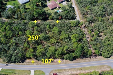 Located in the picturesque Pine Ridge equestrian community, lot on Pine Ridge Community Golf and Country Club in Florida - for sale on GolfHomes.com, golf home, golf lot