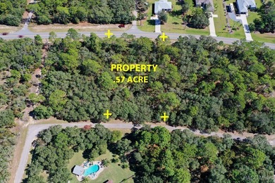 Located in the picturesque Pine Ridge equestrian community, lot on Pine Ridge Community Golf and Country Club in Florida - for sale on GolfHomes.com, golf home, golf lot