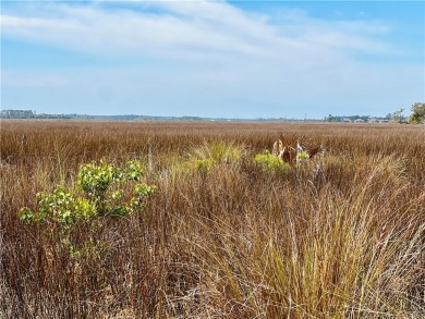 One of the last full marsh homesites available in the gated on The Club At Osprey Cove in Georgia - for sale on GolfHomes.com, golf home, golf lot