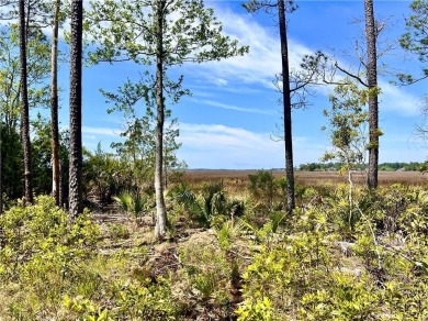 One of the last full marsh homesites available in the gated on The Club At Osprey Cove in Georgia - for sale on GolfHomes.com, golf home, golf lot