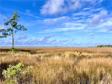 One of the last full marsh homesites available in the gated on The Club At Osprey Cove in Georgia - for sale on GolfHomes.com, golf home, golf lot