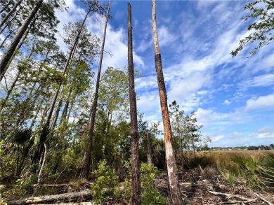 One of the last full marsh homesites available in the gated on The Club At Osprey Cove in Georgia - for sale on GolfHomes.com, golf home, golf lot