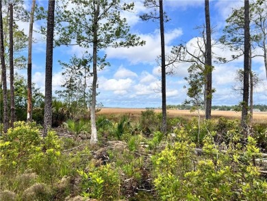 One of the last full marsh homesites available in the gated on The Club At Osprey Cove in Georgia - for sale on GolfHomes.com, golf home, golf lot