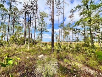 One of the last full marsh homesites available in the gated on The Club At Osprey Cove in Georgia - for sale on GolfHomes.com, golf home, golf lot