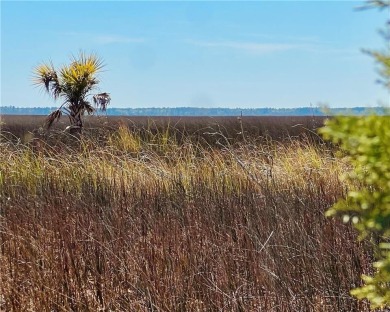 One of the last full marsh homesites available in the gated on The Club At Osprey Cove in Georgia - for sale on GolfHomes.com, golf home, golf lot