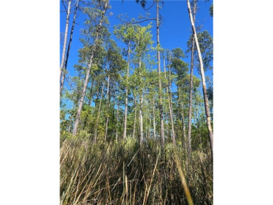 One of the last full marsh homesites available in the gated on The Club At Osprey Cove in Georgia - for sale on GolfHomes.com, golf home, golf lot