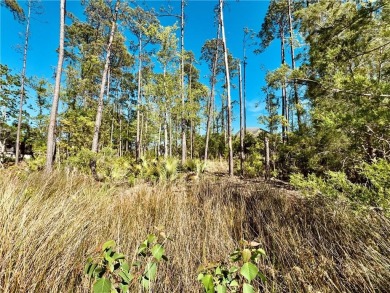 One of the last full marsh homesites available in the gated on The Club At Osprey Cove in Georgia - for sale on GolfHomes.com, golf home, golf lot