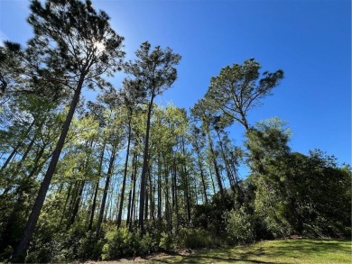 One of the last full marsh homesites available in the gated on The Club At Osprey Cove in Georgia - for sale on GolfHomes.com, golf home, golf lot