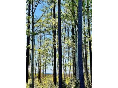 One of the last full marsh homesites available in the gated on The Club At Osprey Cove in Georgia - for sale on GolfHomes.com, golf home, golf lot