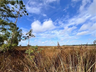 One of the last full marsh homesites available in the gated on The Club At Osprey Cove in Georgia - for sale on GolfHomes.com, golf home, golf lot